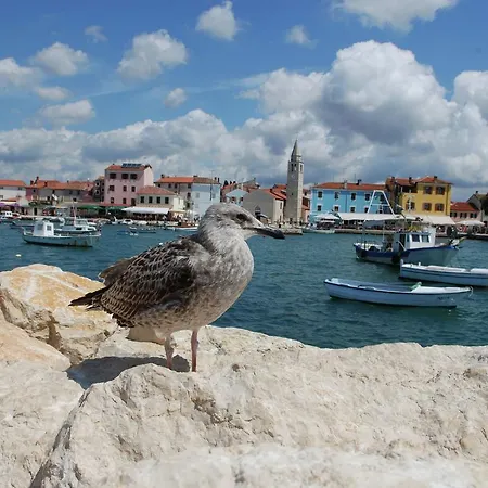 Apartamento Quaint With Garden In Pula
